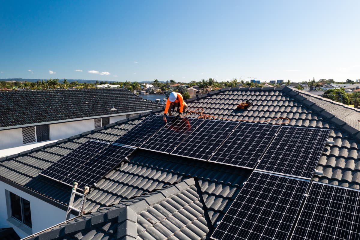 Тепличные хозяйства